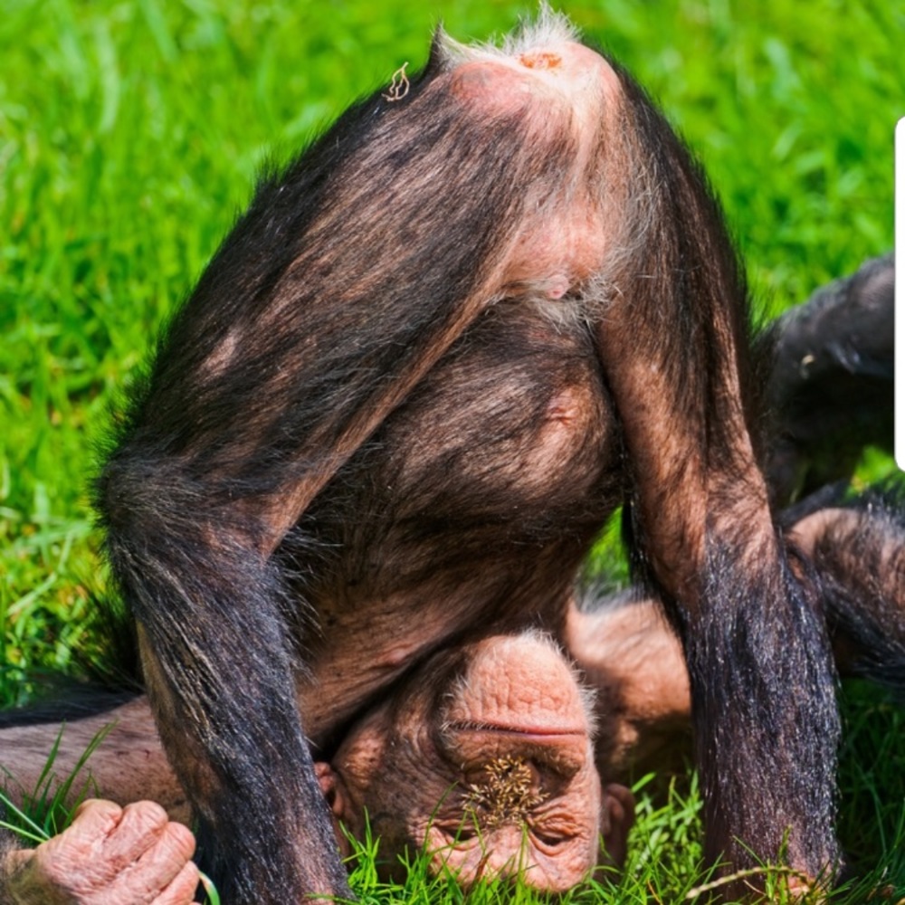 Meet your Posher, Loren